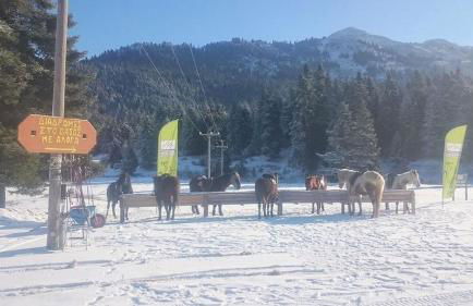 ESTELA House - Foto 23