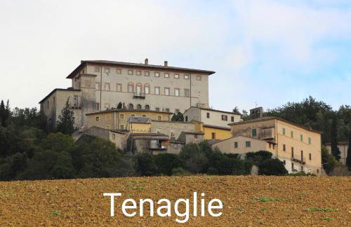 La Selvarella - Foto 14