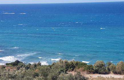 Areti Studios - Foto 40