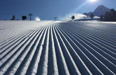 Residence Dilitz - Foto 13