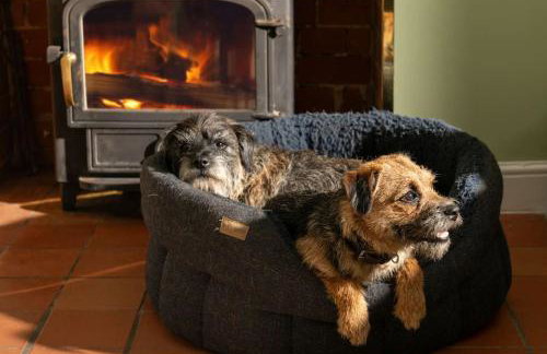 Hall Cottage - Norfolk Cottage Agency - Photo 23