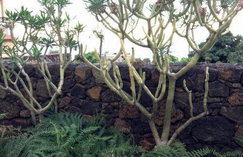 Apartamentos Los Verodes - Foto 98