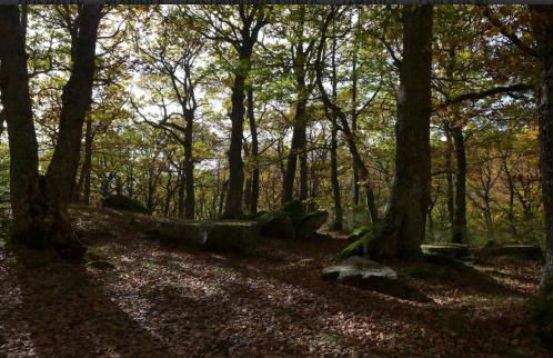 Casa Dulcinea en Brañosera - Foto 35