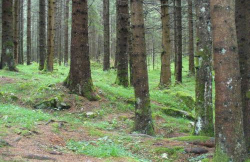 Almhaus Pfister OHG - Foto 72