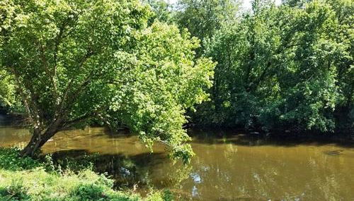 Bear Track on Tellico River - Foto 3