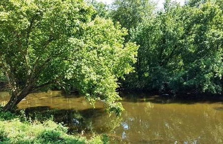 Bear Track on Tellico River - Foto 3