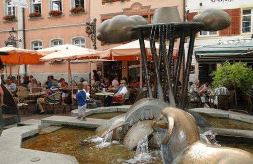 Alb Studio in Sankt Blasien - Foto 8