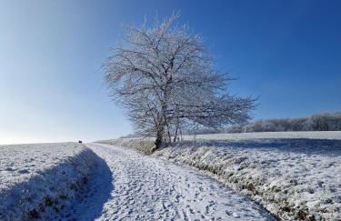 Landhaus Domaine de Marie - Foto 49