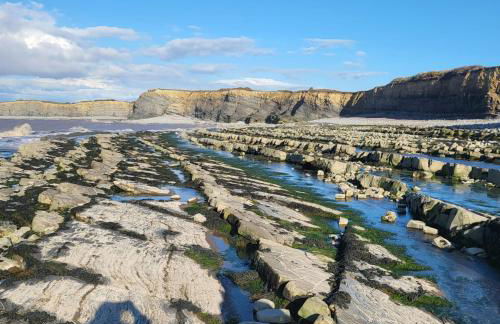 Beautiful One Bed Studio Flat - Dog Friendly - Foto 10