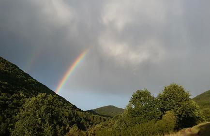 Ferienhaus Becker - Foto 11