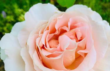 Vrijstaand vakantiehuis La Piccigliana - 6 personen - Foto 30