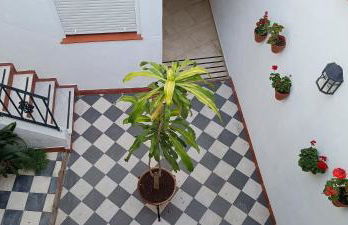 La Alboreá - Foto 46