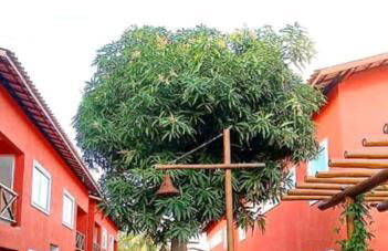 Residencial Ecoville das Mangueiras 3km da praia de Guarajuba, 27km do centro de Camacari CEP 42839-874 - Foto 1