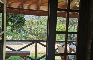 Casa do Sapateiro - piscina - Photo 19