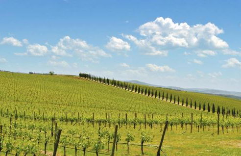 Villa Luce - Foto 10