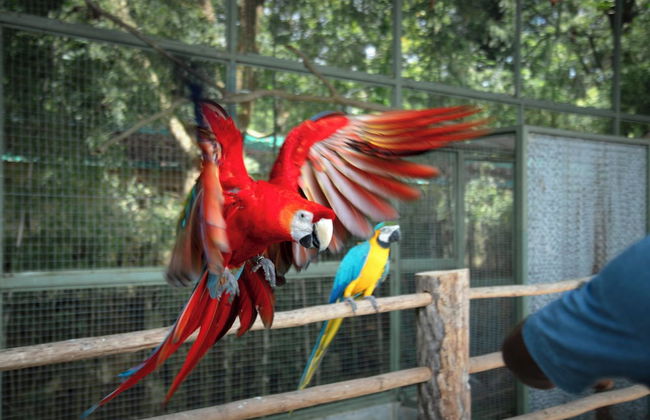 Panbil Residence Serviced Apartment - Foto 57