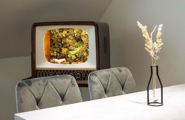 Urban Jungle Apartments - Photo 36