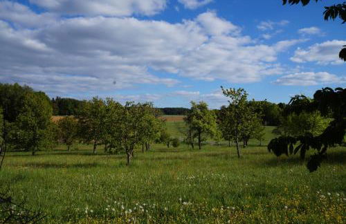 Kleine Ferienwohnung auf dem Land, Haus Hans Stepha - Foto 11