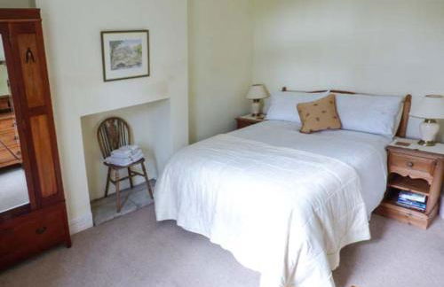 The Conifers - Foto 7