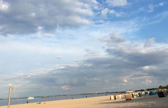 Wood in Zempin/usedom - Foto 20