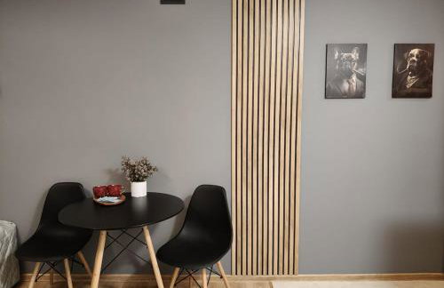 Bliska Ochota Apartment - Photo 9