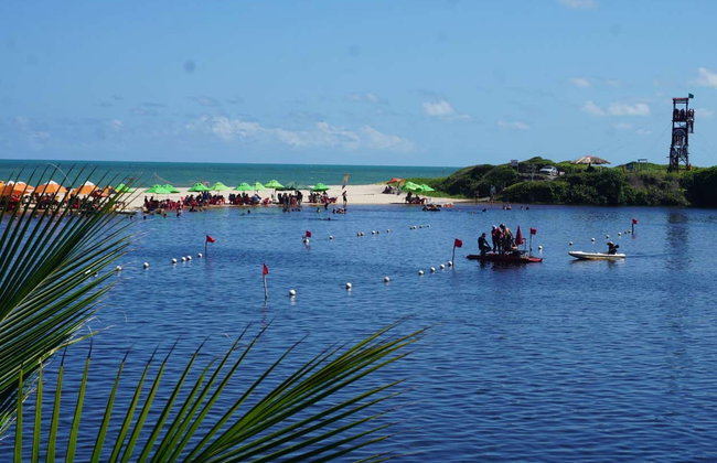 Carapibus, Tabatinga & Bela Beach Day Trip - Foto 7