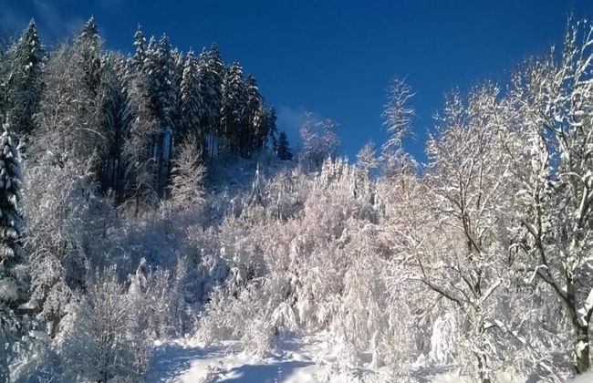 Ferienwohnung in Kamschlacken - Foto 31