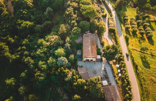 Fattoria Laviosa - Foto 32