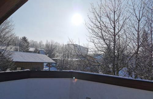 Haus Haidweg - Ferienwohnungen in Haidmühle im Dreiländereck DE-CZ-AT - Foto 21