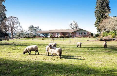 Four Wheels Farm - Foto 2