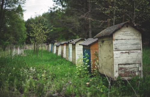 Drewniany Domek w Zakątku Andrzeje Śniczany 18 - Photo 10