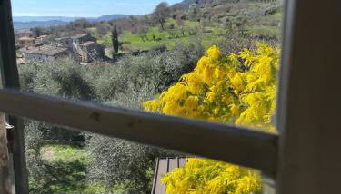 Dimora Borgo Gaon - Casa Elios con wi-fi e 3 bagni - Foto 5