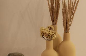 Coruja’s House AL OPO - Foto 21