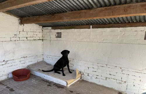 The Kennels - Foto 47