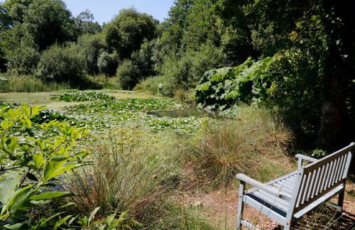 Jane's Place - Foto 14