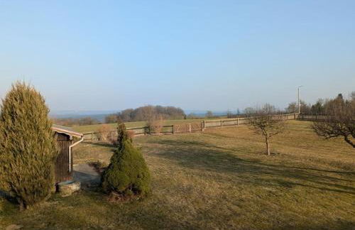 Holiday home in Oelsnitz with swimming pool - Foto 3