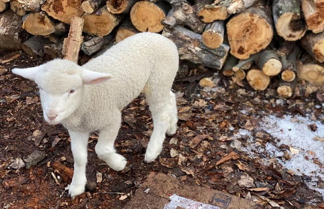 Estancia Bonanza - Foto 45