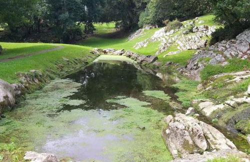 Gestiona2R - Villa con finca, Piscina-Padel-Golf - Foto 33