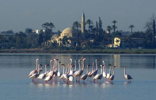 Lazaros Stonehouse - Foto 36