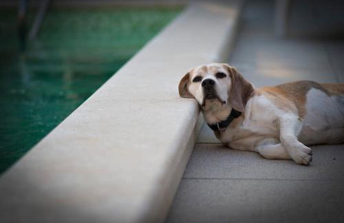 Villa Montecolori - Foto 14