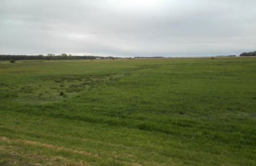 Finnhütte Bernstein - Foto 17