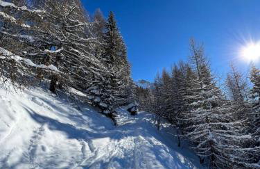 Chalet Altus - Foto 69