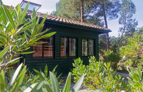 Villa sous les pins de Moliets - Foto 21