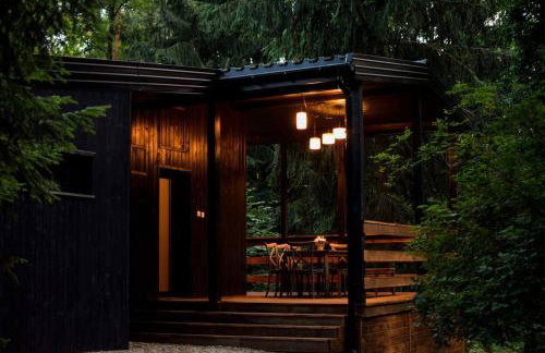 Okno na las - Foto 13