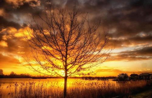 Castleford Cottage , Lowermill Estate - Photo 38