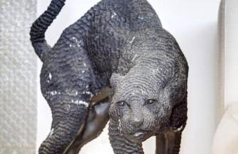 Nice Absea Belles Terres 5 - Photo 12