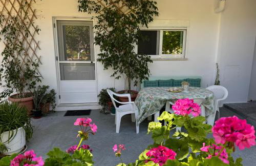 Lemon tree's house - Foto 32