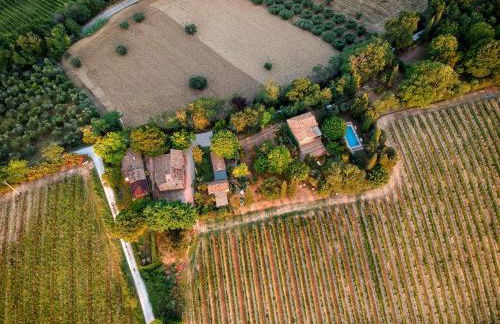 Delightful Cottage facing the vineyard - Foto 46