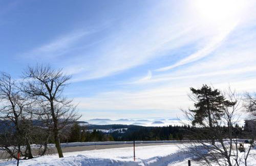 Ferienwohnung Fürstenkopf - Foto 22