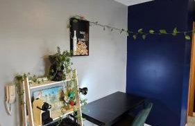 Apto Ipiranga 1 Quarto com vaga de garagem - Foto 18